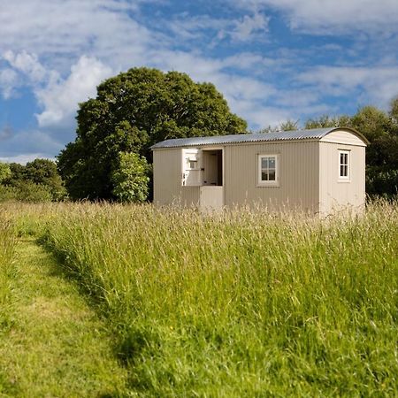 Romantic Secluded Shepherd Hut Hares Rest Southwick  外观 照片