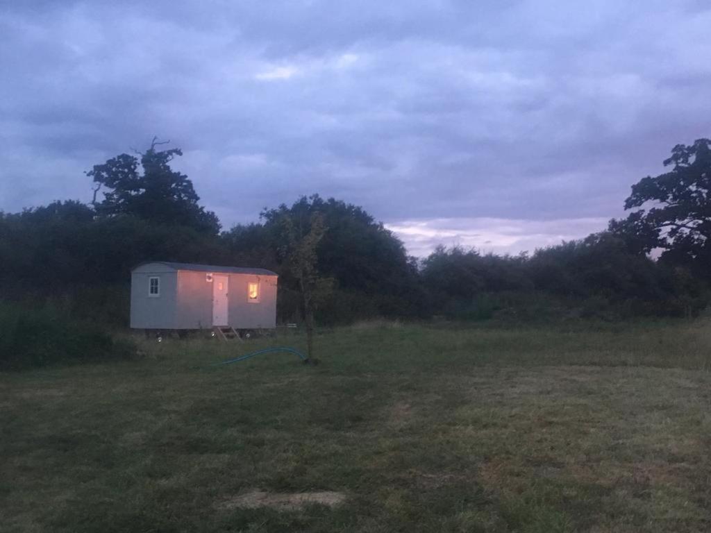 Romantic Secluded Shepherd Hut Hares Rest Southwick  外观 照片