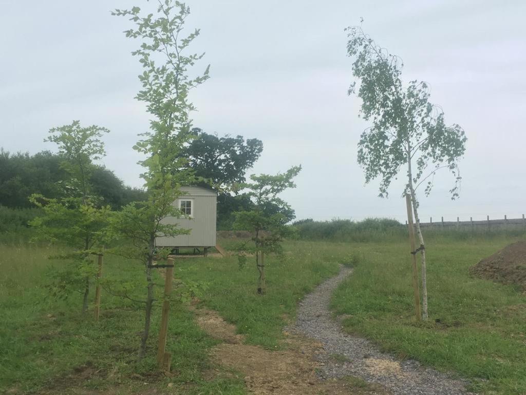 Romantic Secluded Shepherd Hut Hares Rest Southwick  外观 照片
