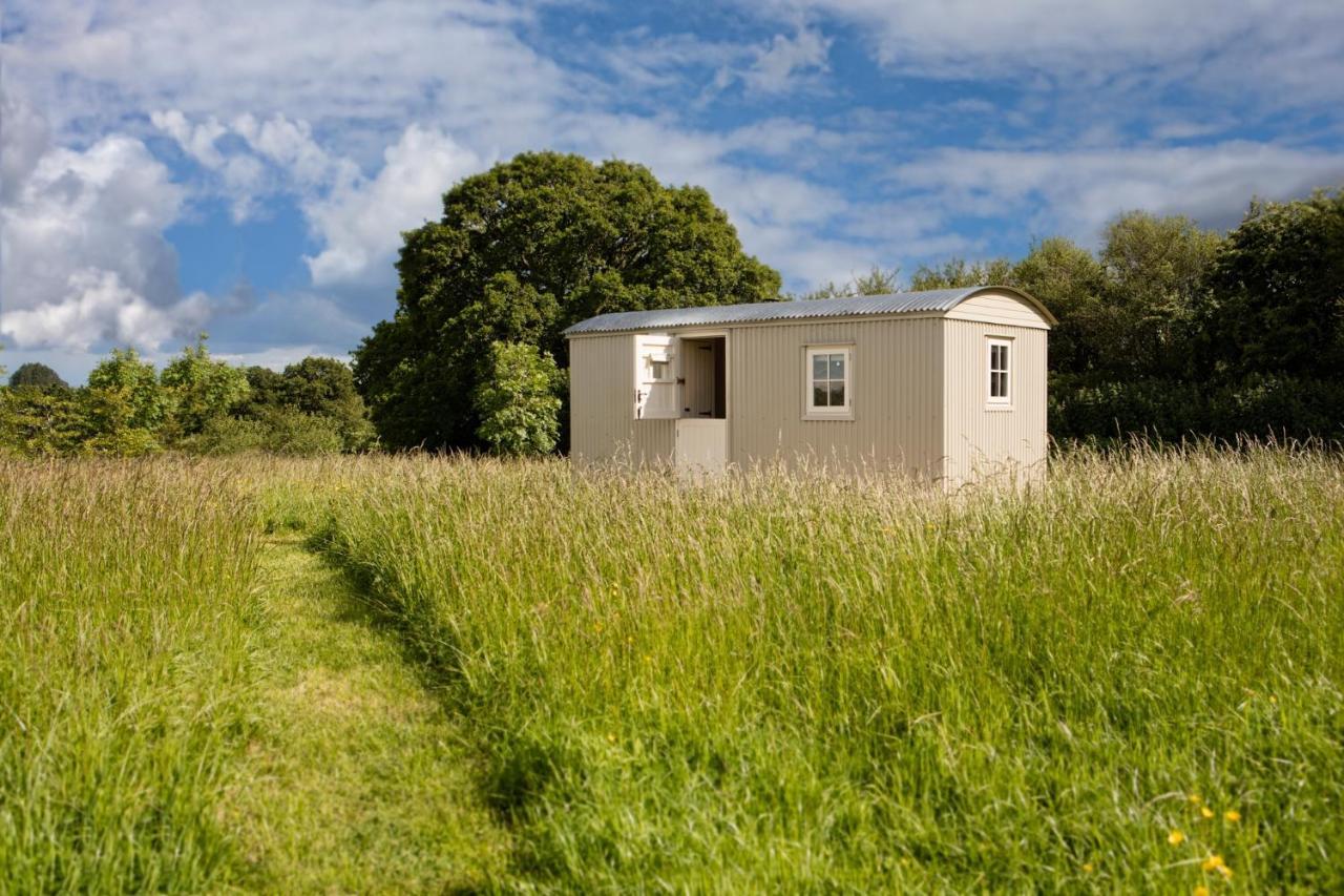 Romantic Secluded Shepherd Hut Hares Rest Southwick  外观 照片