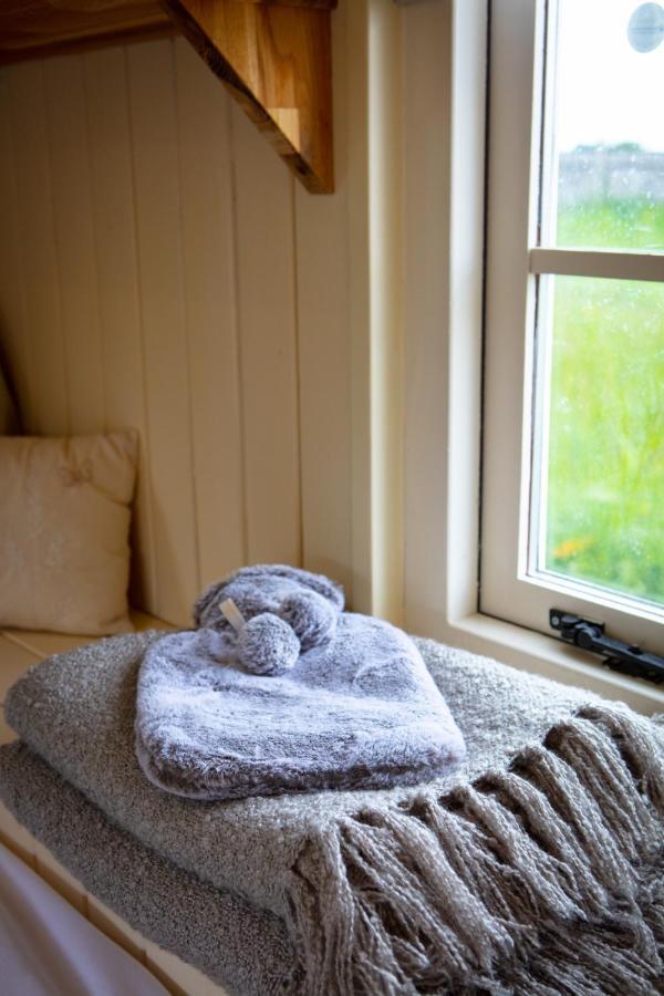 Romantic Secluded Shepherd Hut Hares Rest Southwick  外观 照片
